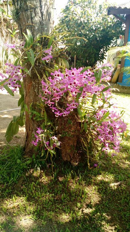 Estacao Paraiso Chale Bertioga